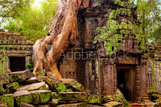 Bild på Ta Prohm temple Ancient Khmer architecture under the giant roots of a tree at Angkor Wat complex Siem Reap Cambodia